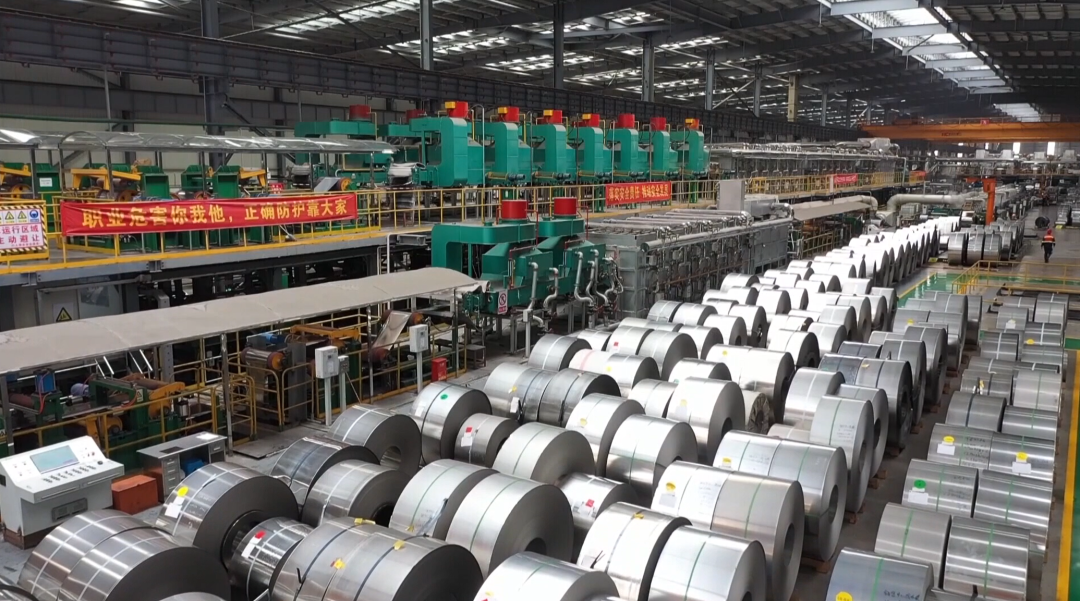 爱拼会赢！福建民企大显身手